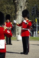 Horse Guards, Helmand and Hollywood